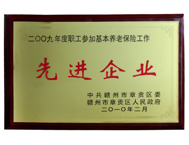 2009年荣获先进企业