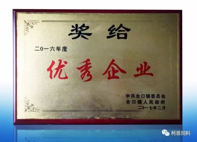 常德柯恩荣获优秀企业