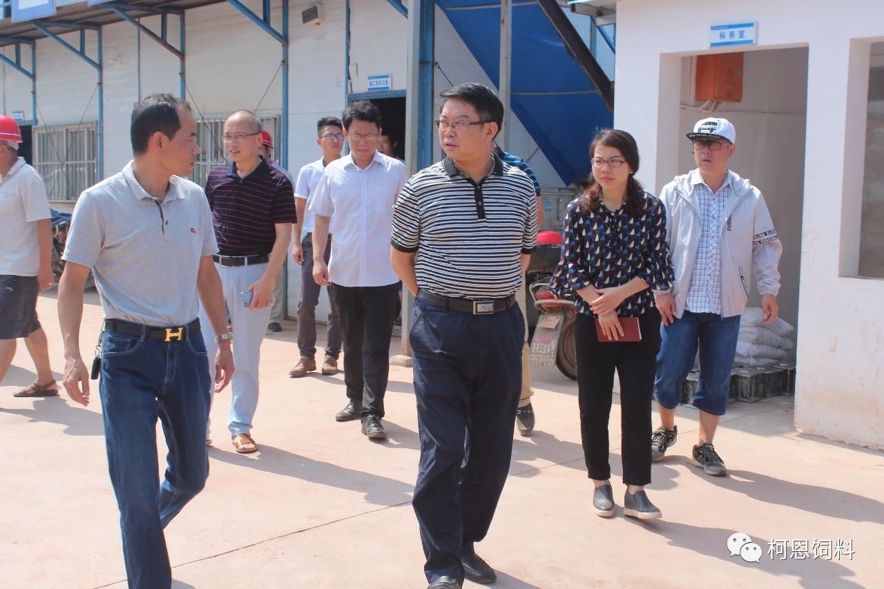 赣州新总部主车间今日封顶，市委常委、区管委会书记李明生莅临现场盛赞柯恩速度